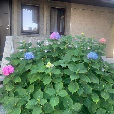 考纳斯Lampedis公寓 外观 照片