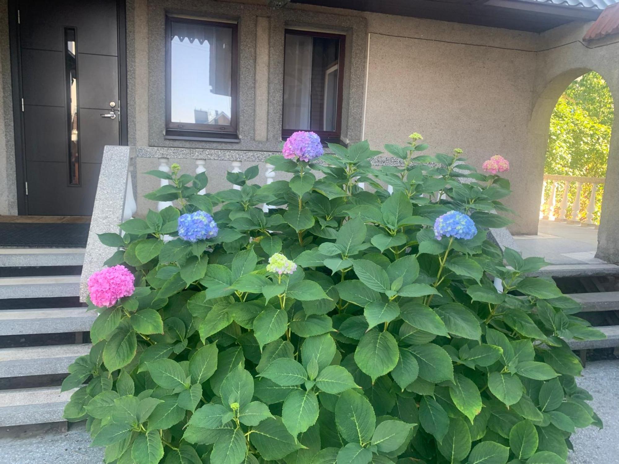 考纳斯Lampedis公寓 外观 照片